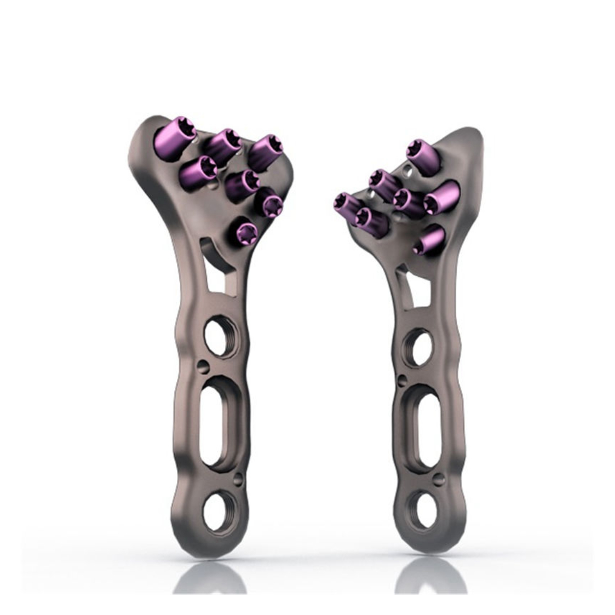 Custom Titanium Locking Bone Plates and Screws Assembly
